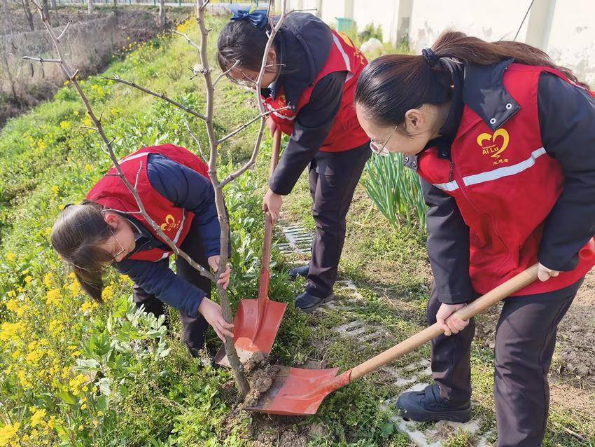 春风拂绿高速路 播绿添彩美路域