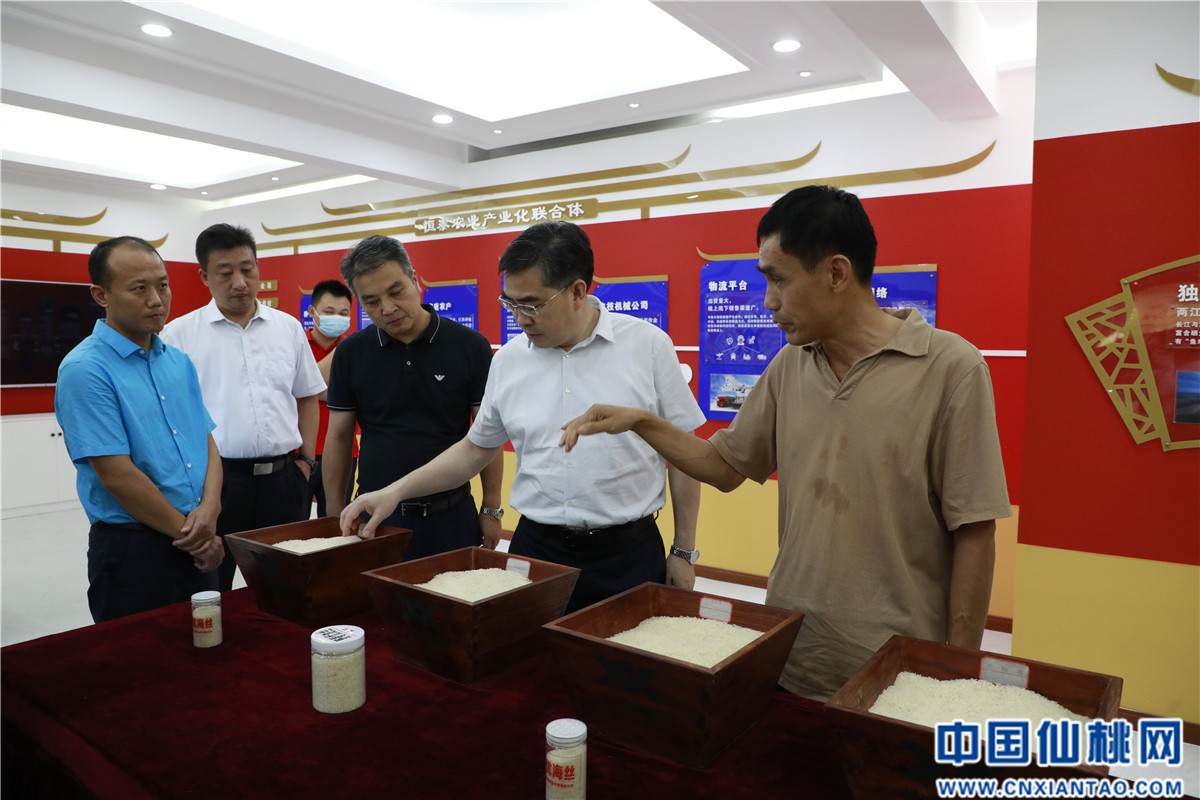 市长孙道军调研全市粮食工作—仙桃文明网—要闻